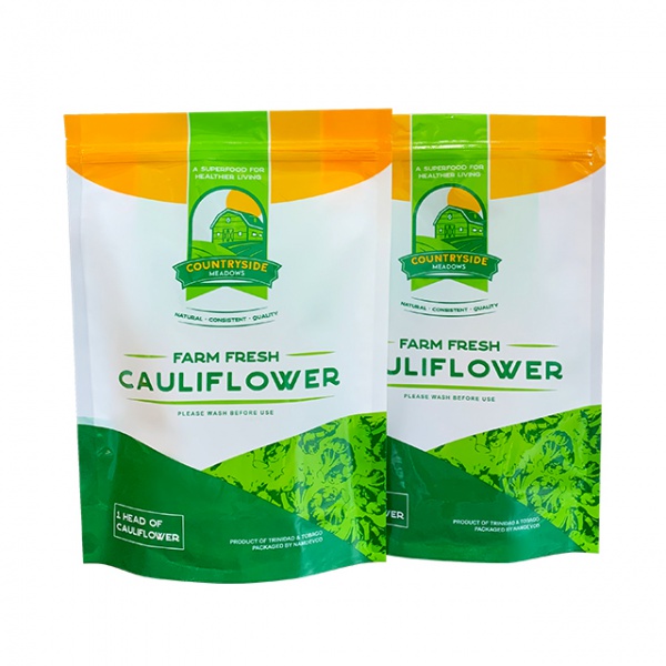 Factory Price Stand Up Plastic Ziplock Pouch For Dried Fruit